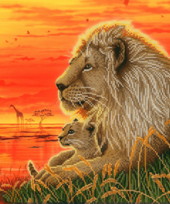 schema brodat savana