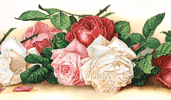 schema brodat crenguta cu trandafiri