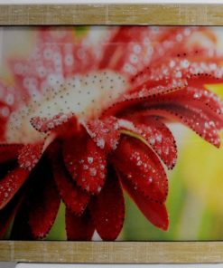 tablou cu strasuri online