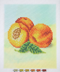 broderii cu biser in chisinau