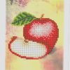 Broderie cu margele Mere A5 dimenisune12,3x15,1 cm, 12 de culori, 1,386 margele