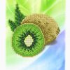 Broderie cu margele Kiwi A5 dimenisune12,3x15,1 cm, 10 de culori, 1,507 margele