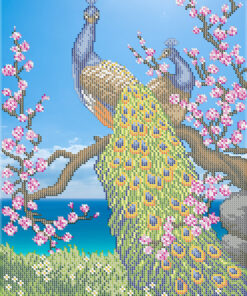 Broderie cu mărgele Pauni A3 dimensiune 27x36 cm, 20 de culori, 12.509 mărgele.