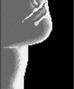 Broderie cu margele dimensiune 20x47