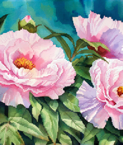 TA455 BUJORI ROZ 24X36