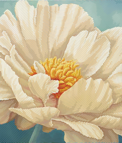 TA386 BUJORI ALB 24X36