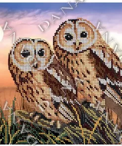 DANA2197 Broderie bufnite sub luna A4