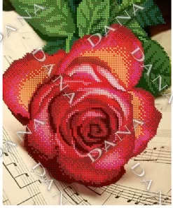 DANA2211 FRUMOASA A4