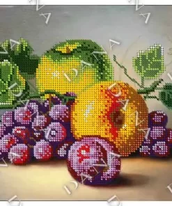 DANA2342 Broderie cu margele"Fructe"
