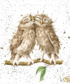 TA500 PERECHE BUFNITA 30X30