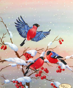 TA503 IARNA PASARI 24X31