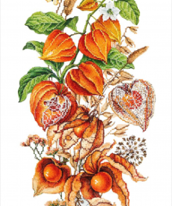 TK087 FLORI TOAMNA 24X45