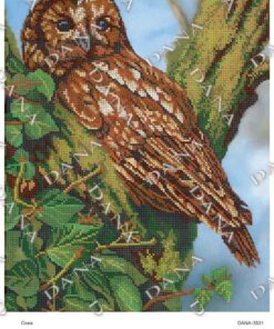 DANA3531 Broderie bufnita