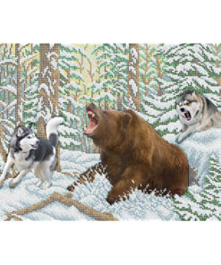 BS3331 VANATOAREA DE URS A3