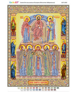 BSR3341 RUGACIUNEA DE DETENTIE A3