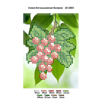 BS6003 BRODERIE STRUGURII A6