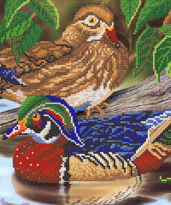 RKP191 PASARI 26X36 ATLAS