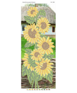 PM4024 FLOAREA SOARELUI A4