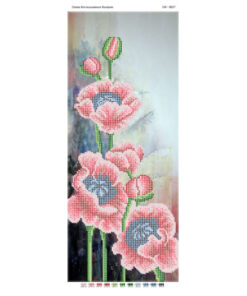 PM4027 MACI DE CAMP A4