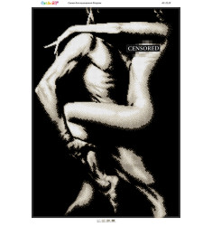 Broderie cu mărgele Siluete 4 A2 dimensiune 41,2×58,2 cm, 4 de culori, 16.379 mărgele