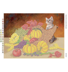 Broderie cu mărgele Legume A3 dimensiune 27x36 cm, 22 de culori, 12.892 mărgele.